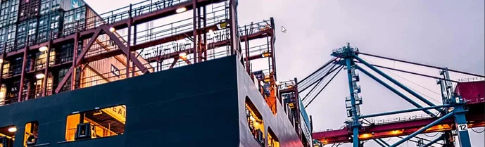 Immigration Services