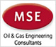 MSE Consultants, corporate immigration, business immigration, managed services